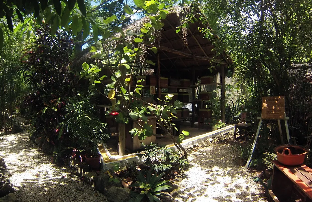 Casa Don Diego-1